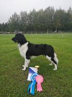 Milomiss Action Hero Rocky ”Rocky” INT EXC CQ BM2 CAC